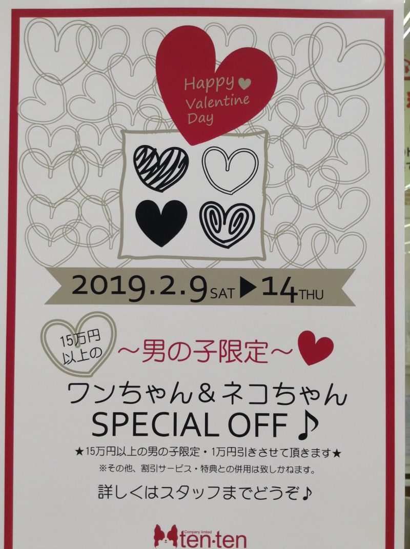 ♡ハッピーバレンタイン♡