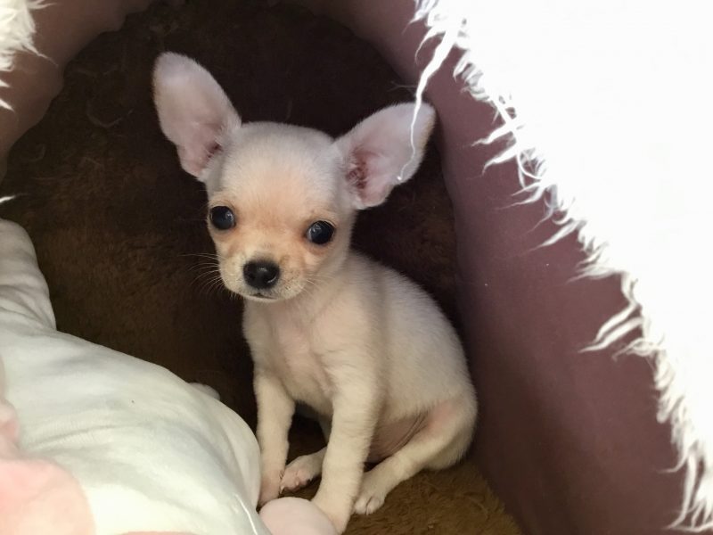 新入りちゃんのご紹介♡