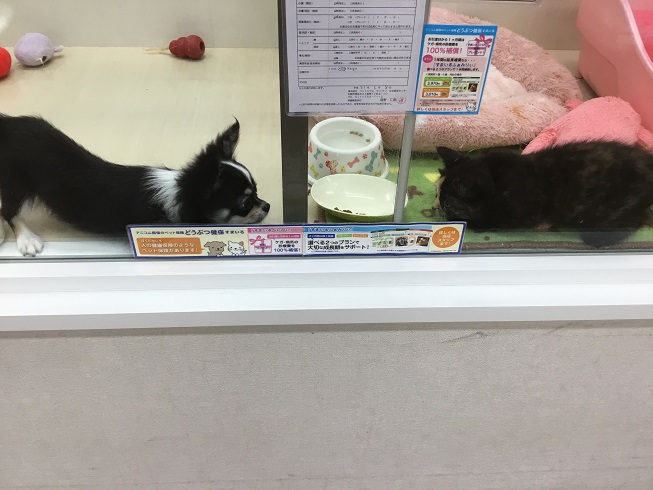 意外な仲良しさん♪