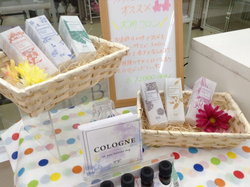 ★今月のおすすめ商品★