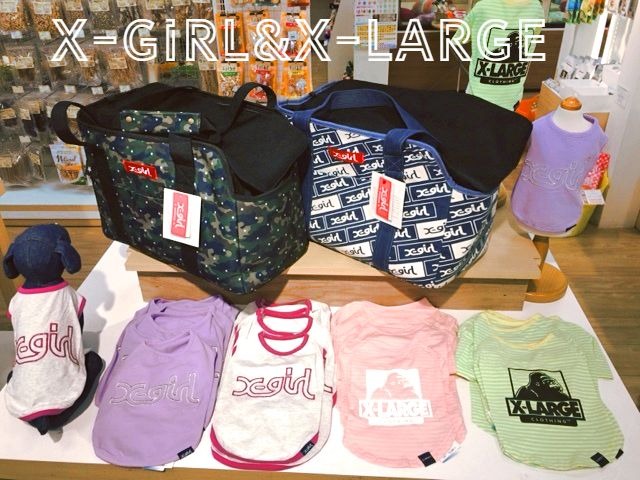 ★x-girl&X-LARGEなど新商品入荷!!★