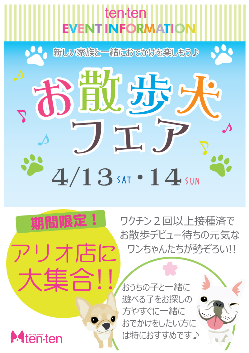 お散歩犬フェア開催♬