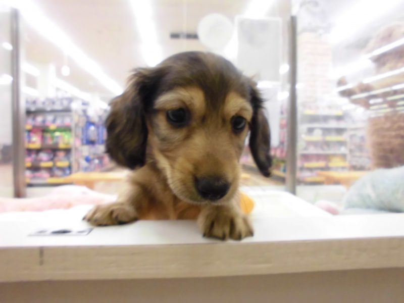 ＧＷ中のイベント！！