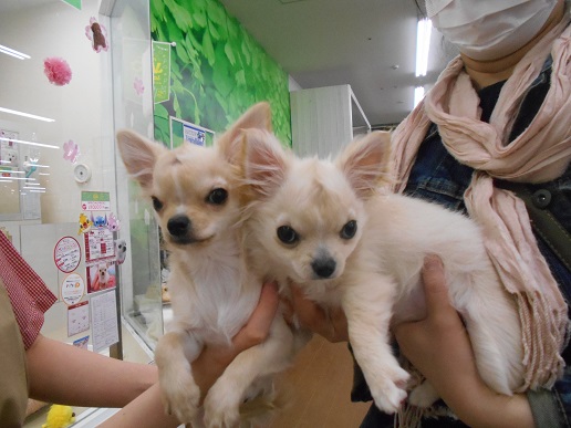 ♡偶然の再会♡