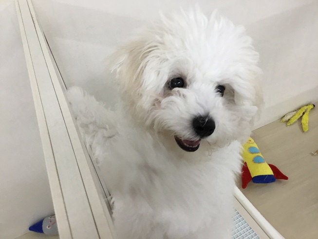 お散歩デビュー♪
