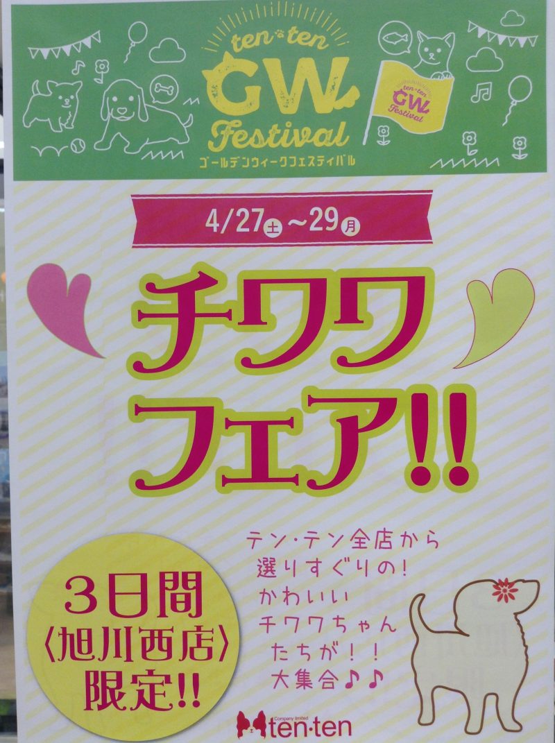 いよいよ、明日から始まりますよぉ～