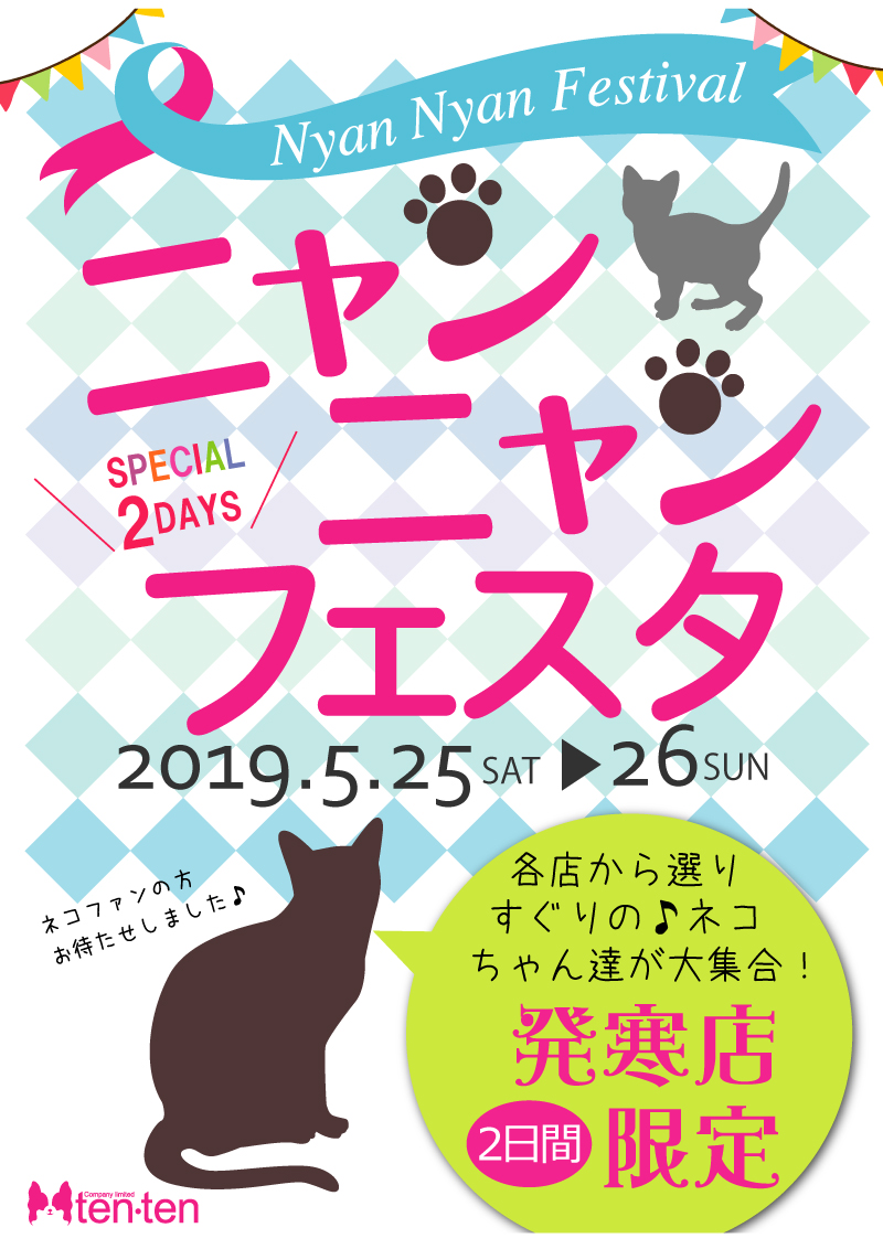ニャンニャンフェスタ♪