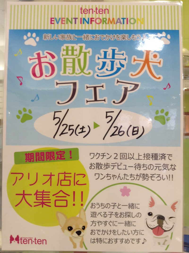 「お散歩犬フェア」