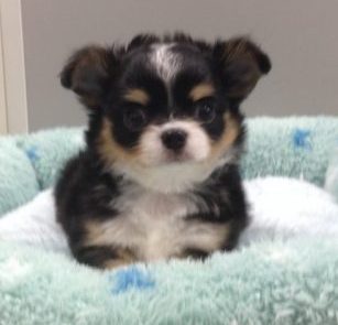 ☆ＮＥＷ　ＦＡＣＥ☆