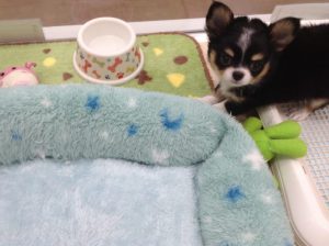 ☆日々成長中☆