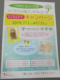 限定キャンペーン☆彡
