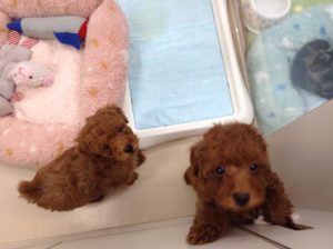 ☆小樽店７周年祭☆