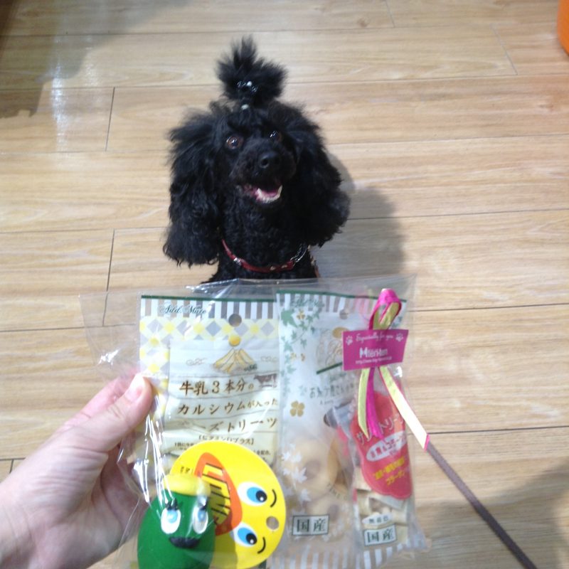 ★本店3位入賞★ジーナちゃん