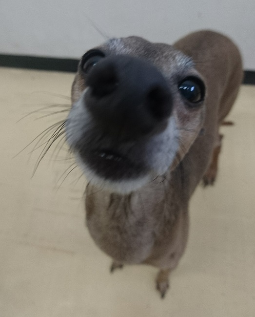 お泊り中のご様子です☆