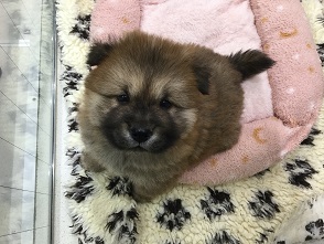 お家が決まりました♪
