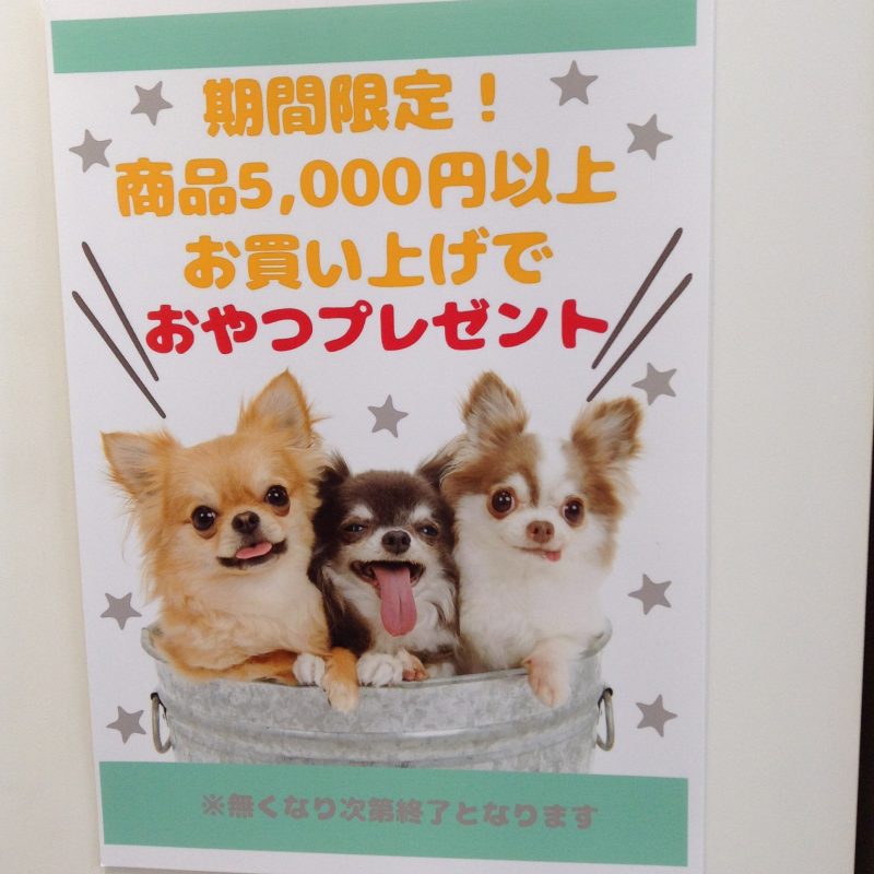 店内商品5000円以上お買い上げで…♡♡