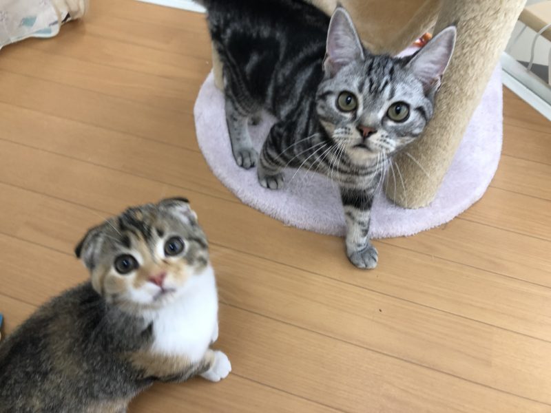 ＊お友達になりました＊