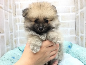 バトンタッチ☆