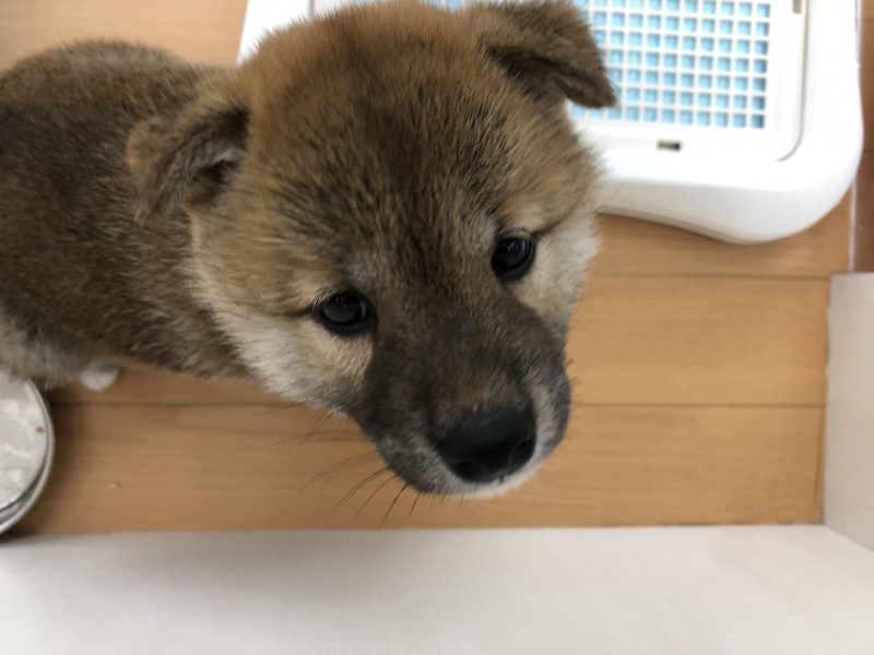 バトンタッチ☆