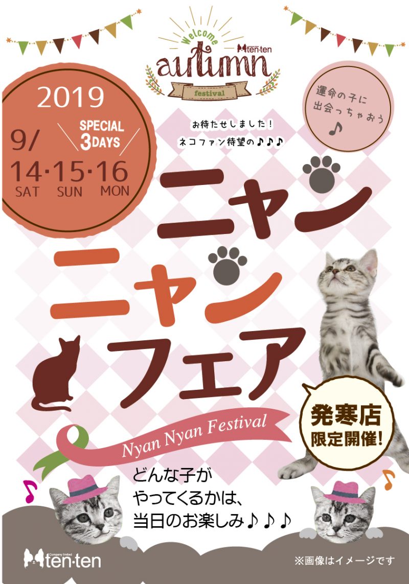ニャンニャンフェア開催∩(´∀`)∩