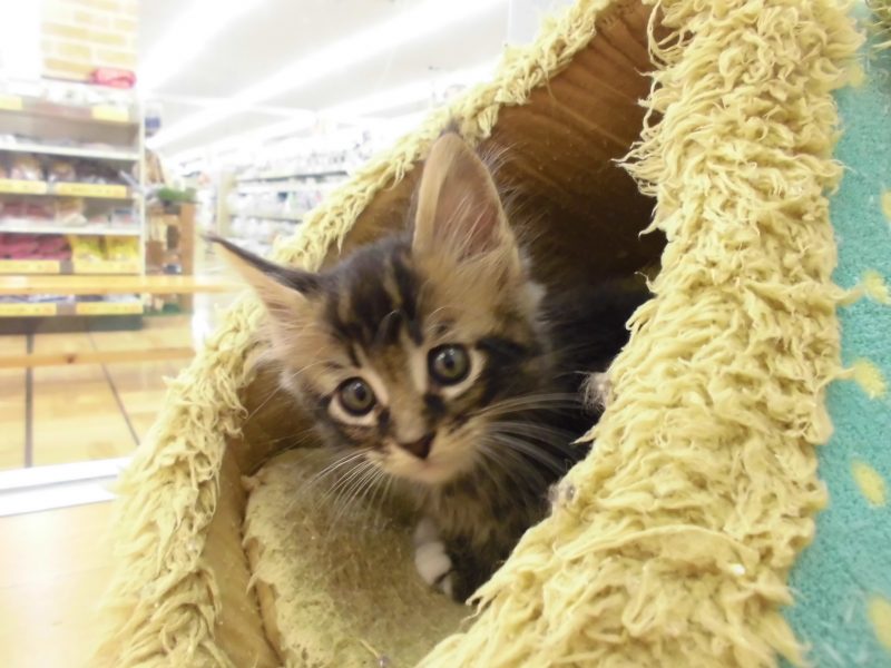 ♡平日限定で…♡