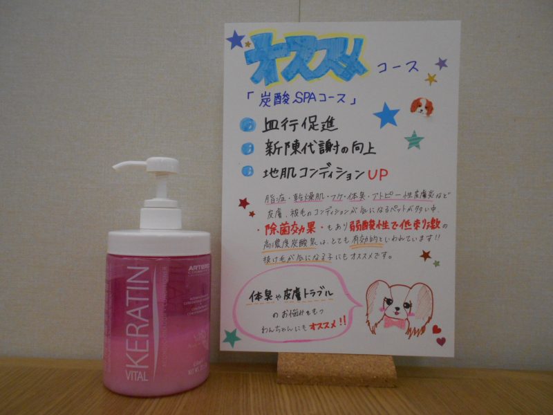 オススメコース.。o○