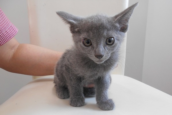 仲間が増えました♬