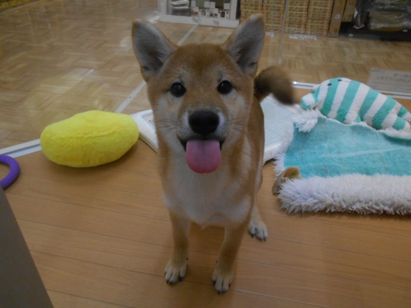 空き状況のお知らせ✂
