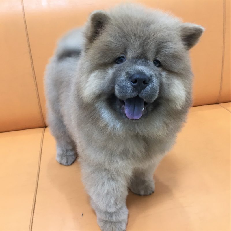 ★ふわふわぴかぴか★