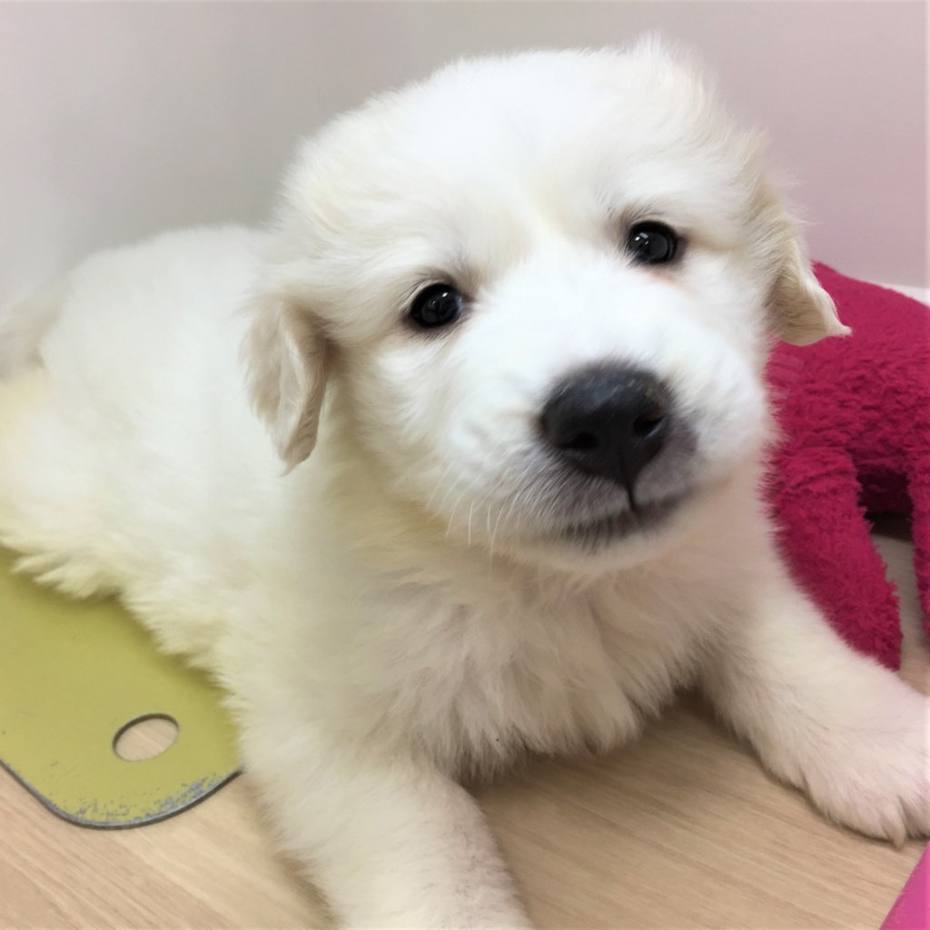 ☆バトンタッチ☆