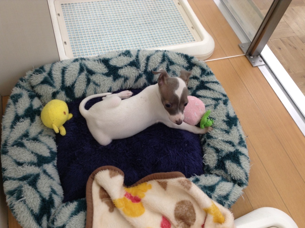 ☆ＮＥＷ☆men’s☆