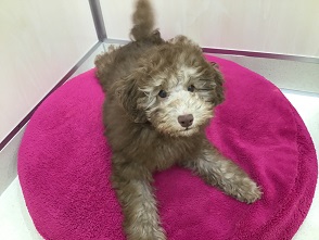 ちょっぴりおとなのお友達☆