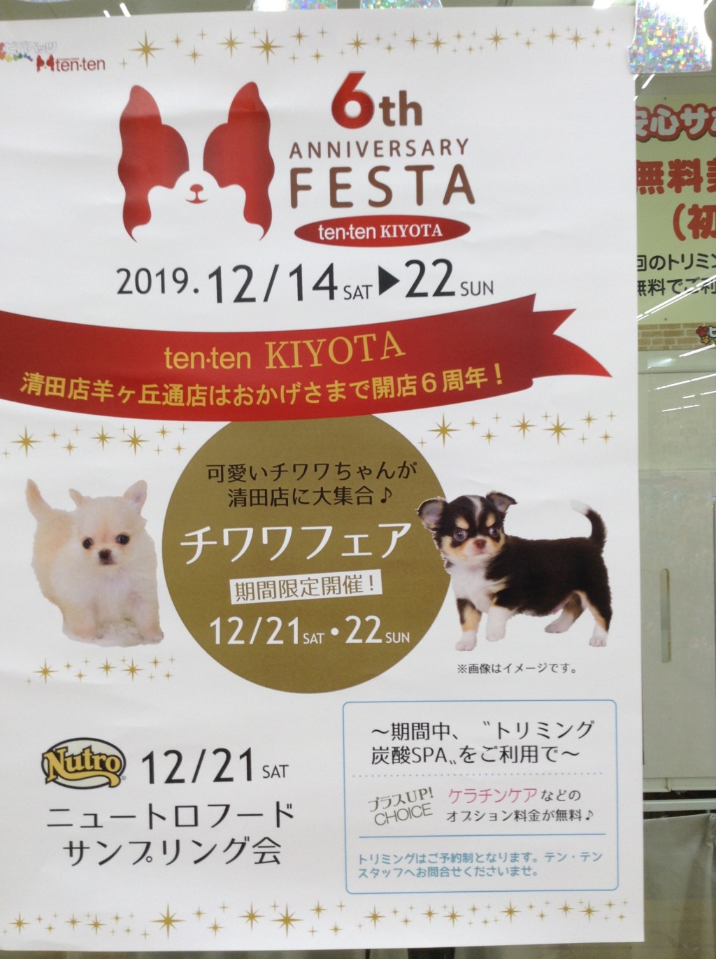 ６ｔｈ　ＡＮＮＩＶＥＲＳＡＲＹ　～イベントのお知らせ～