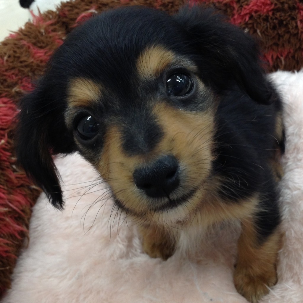 ☆新入りさんと仲間たち☆