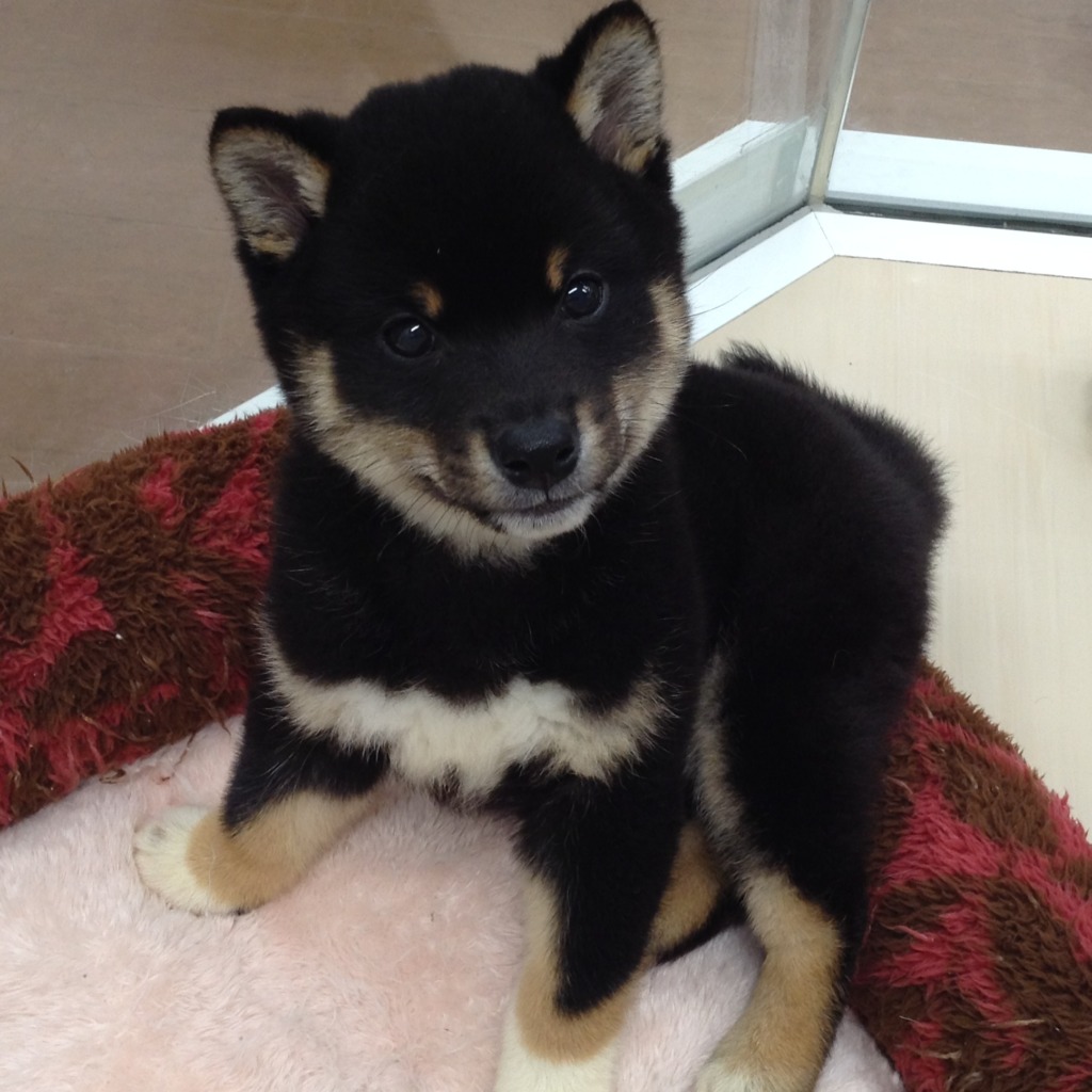 💗ＮＥＷ　ＦＡＣＥ💗