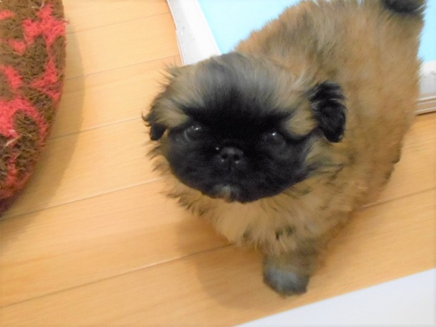 　　　　💗バトンタ～ッチ💗