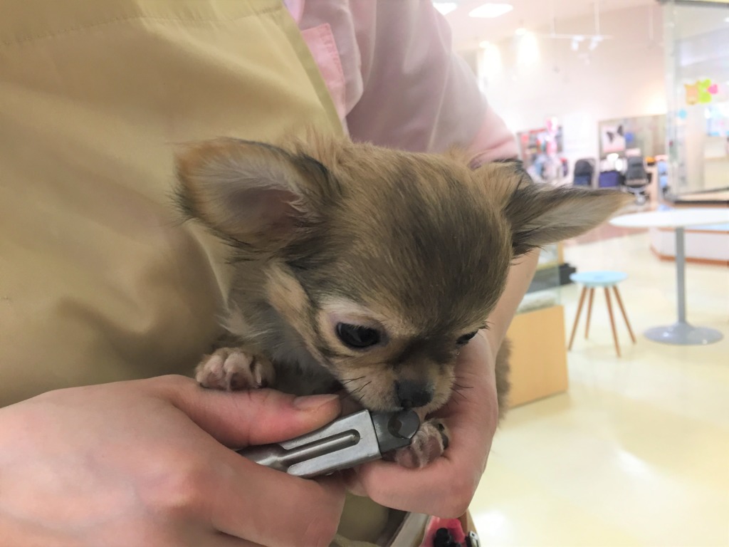 お手入れ中♪