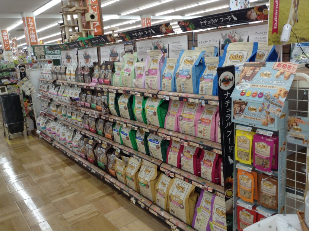 サンプリング✨