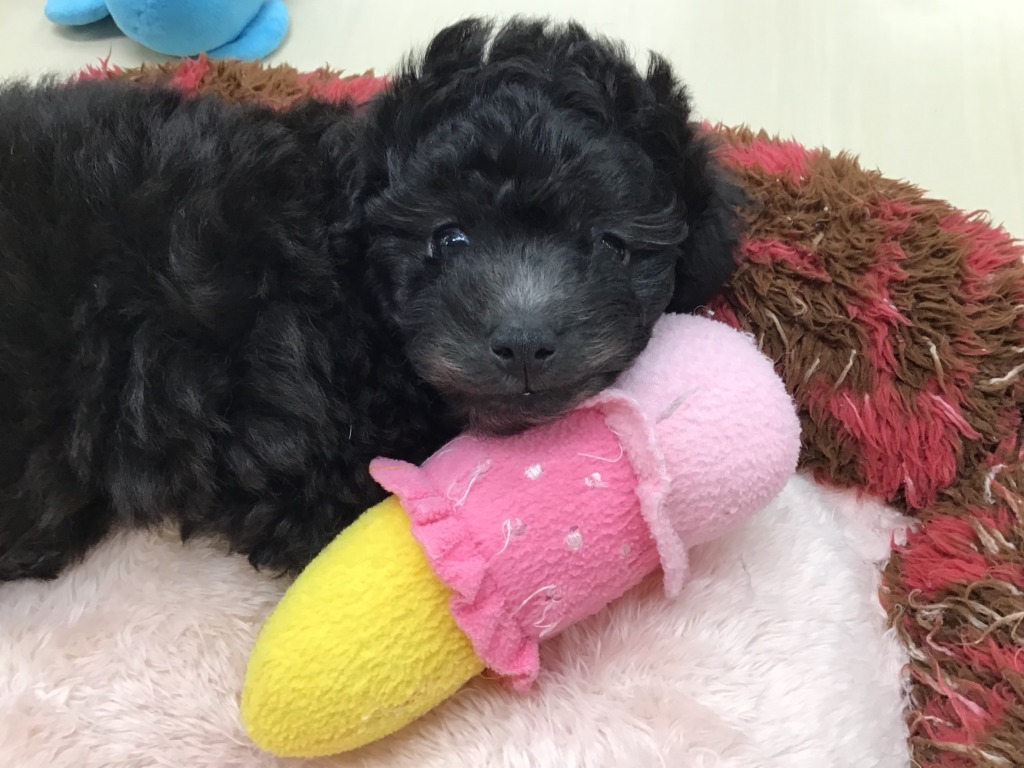 新しい子がやって来ました☆