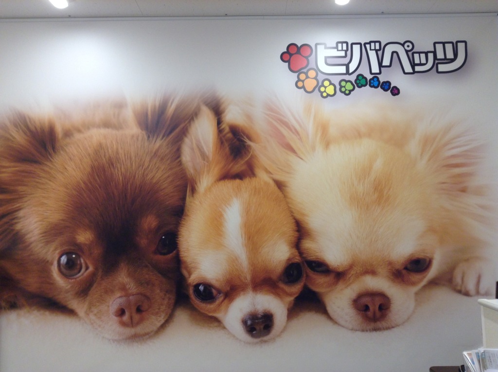 トリミングの空状況