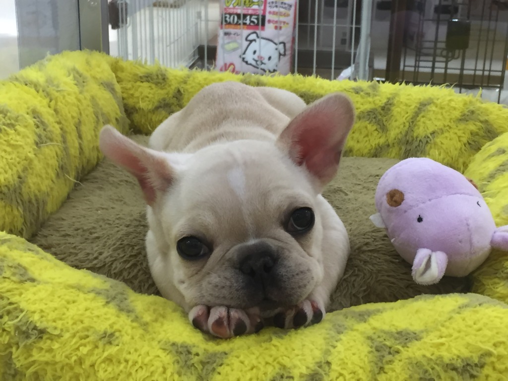 NEW☆ミ