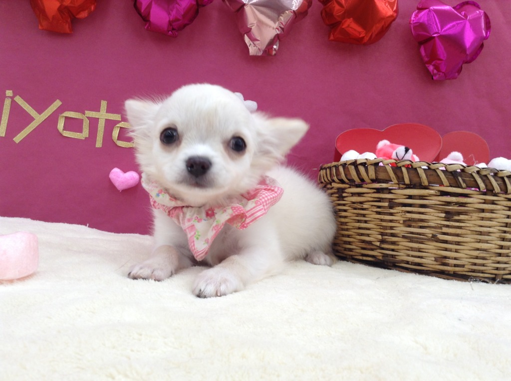 ♡男の子の紹介♡