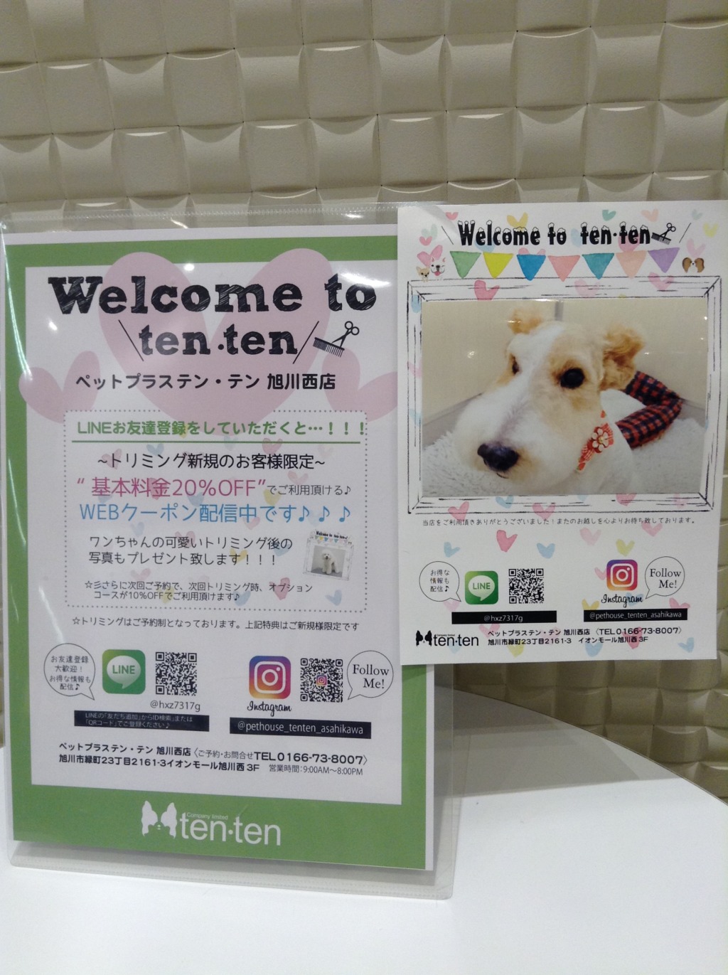 3月前半トリミング空き状況⭐