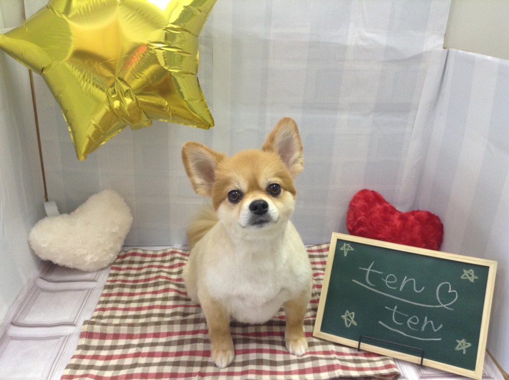 福住店３月のイベント♫