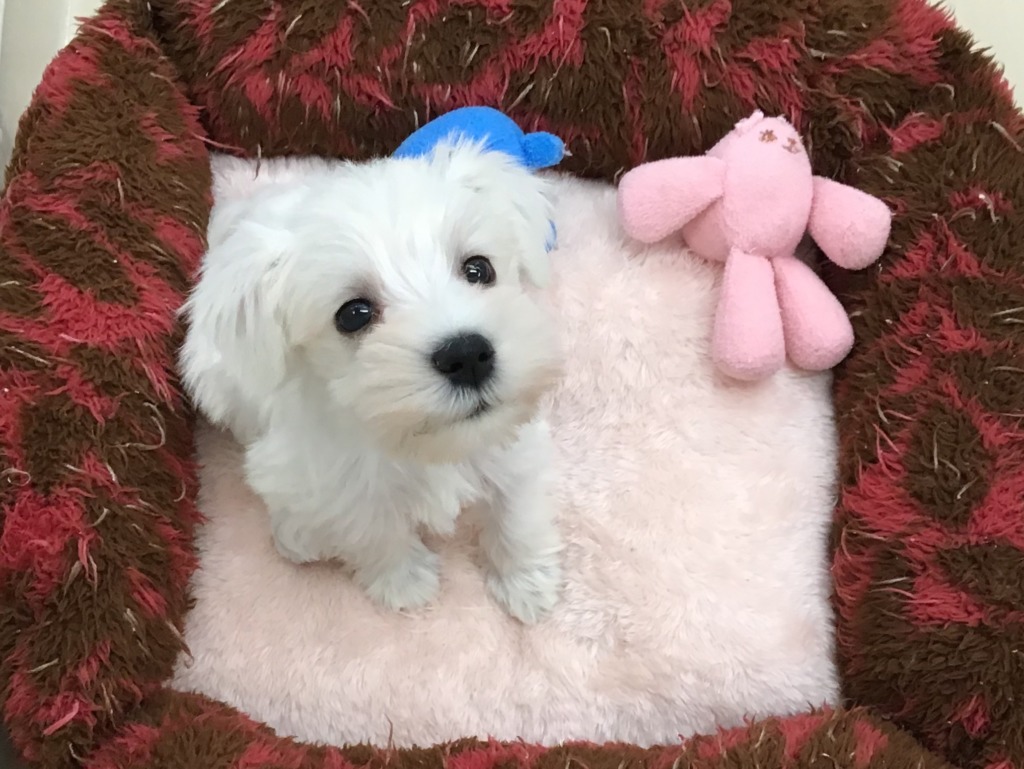 ＮＥＷ★ＦＡＣＥ