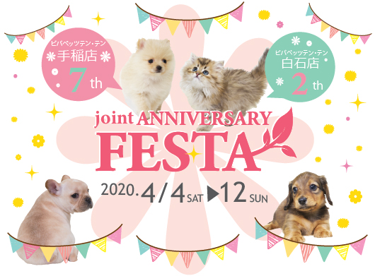 ☆ANNIVERSARY FESTA☆