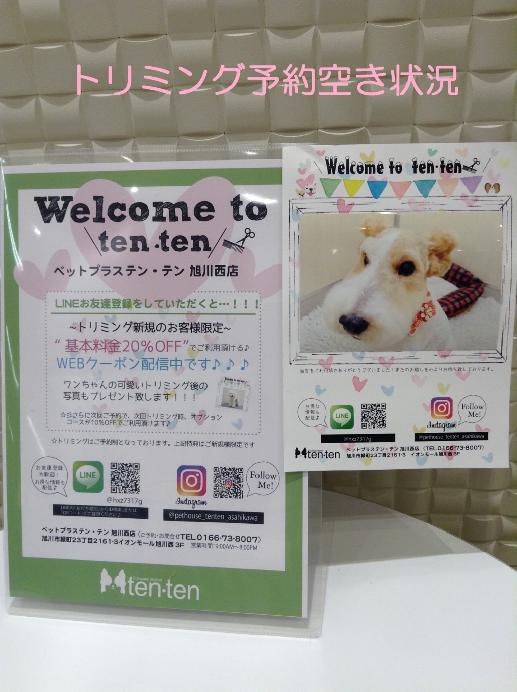 トリミング空き状況⭐４月後半