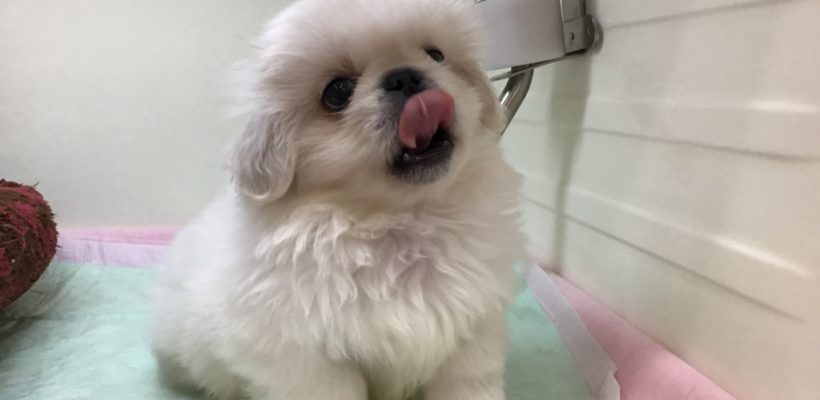 ☆お知らせ☆