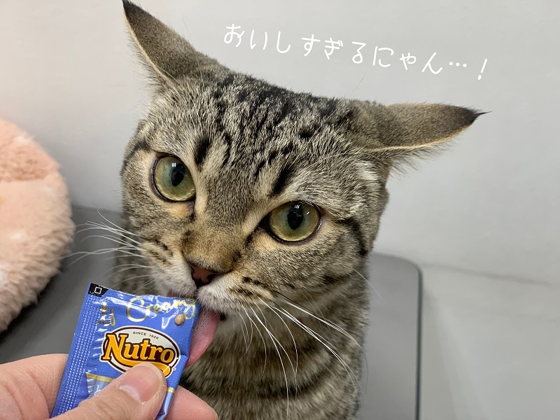 ★猫ちゃん用NEWおやつ!!!★