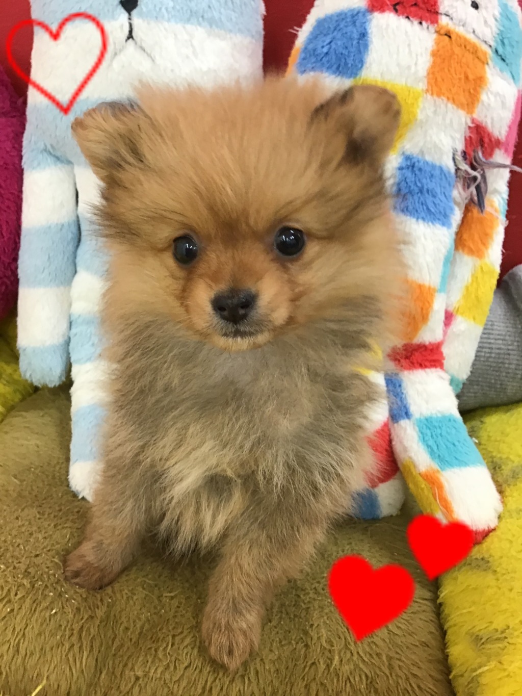 ☆新人さんご紹介☆